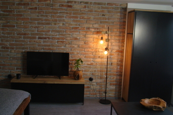 Pronájem bytu 1+kk v osobním vlastnictví 25 m², Brno