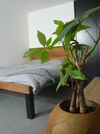 Pronájem bytu 1+kk v osobním vlastnictví 25 m², Brno