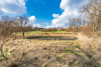 jízdárna - Prodej zemědělského objektu 300 m², Hluboké Dvory