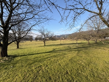 Prodej pozemku 1367 m², Hovězí