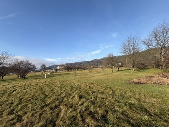 Prodej pozemku 1367 m², Hovězí