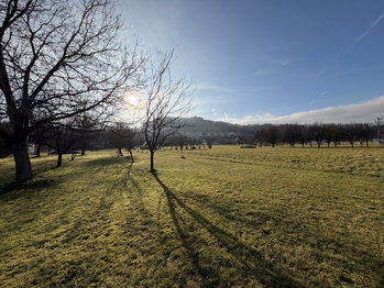 Prodej pozemku 1367 m², Hovězí