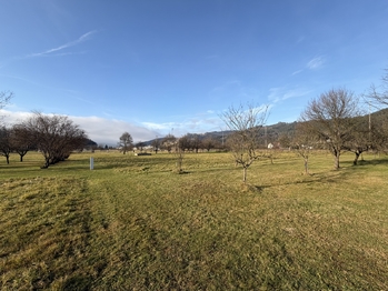 Prodej pozemku 1682 m², Hovězí