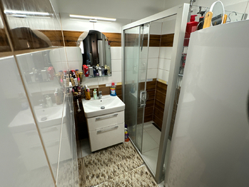 Prodej domu 260 m², Zadní Chodov