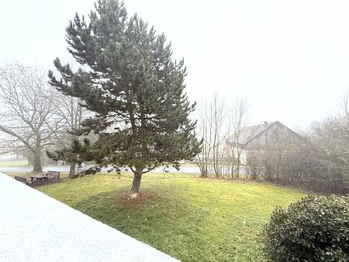 Pronájem bytu 2+1 v osobním vlastnictví 55 m², Přimda