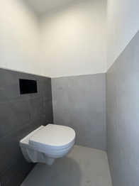 Pronájem bytu 1+1 v osobním vlastnictví 43 m², Praha 4 - Podolí