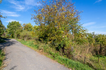 Prodej pozemku 796 m², Bulhary