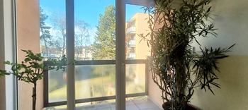 Pronájem bytu 3+kk v osobním vlastnictví 66 m², Praha 6 - Břevnov