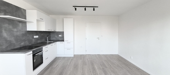 Pronájem bytu 3+kk v osobním vlastnictví 66 m², Praha 6 - Břevnov