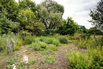 Prodej chaty se zahradou | Dvorka,Brno - Prodej chaty / chalupy 24 m², Brno