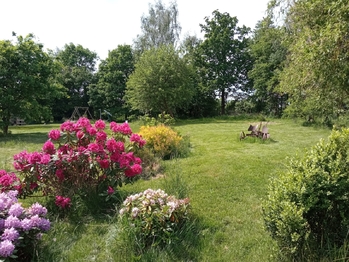 Prodej pozemku 3615 m², Blažejovice