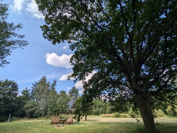 Prodej pozemku 3615 m², Blažejovice