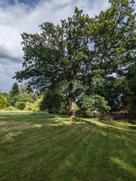 Prodej pozemku 3615 m², Blažejovice