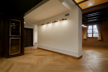 Prodej jiných prostor 268 m², Praha 3 - Žižkov