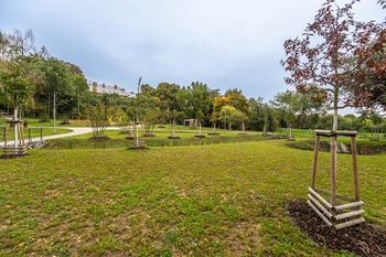 Pronájem bytu 2+kk v osobním vlastnictví 75 m², Praha 6 - Břevnov