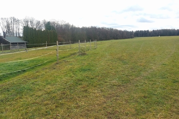 Prodej pozemku 946 m², Svojšice