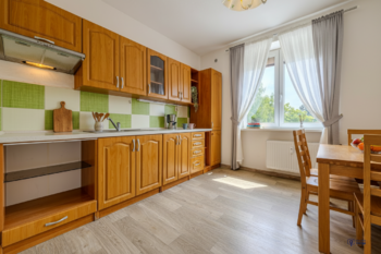 Prodej bytu 1+1 v osobním vlastnictví 39 m², Vítkov