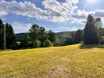 Prodej pozemku 1520 m², Orlické Záhoří