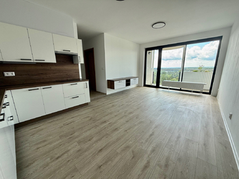 Pronájem bytu 2+kk v osobním vlastnictví 61 m², Plzeň