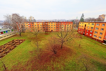 Prodej bytu 2+1 v družstevním vlastnictví 48 m², Ostrava