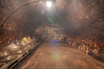 Prodej vinného sklepa 70 m², Brod nad Dyjí