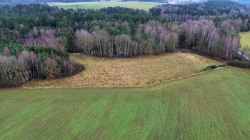 Prodej pozemku 5825 m², Stráž