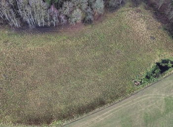 Prodej pozemku 5825 m², Stráž