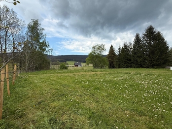 Prodej pozemku 1520 m², Orlické Záhoří