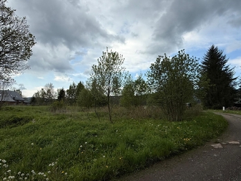 Prodej pozemku 1444 m², Orlické Záhoří