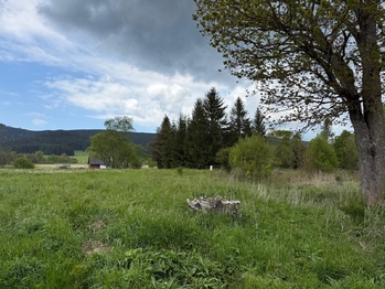 Prodej pozemku 1444 m², Orlické Záhoří