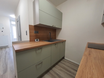 Pronájem bytu 2+kk v družstevním vlastnictví 48 m², Brno