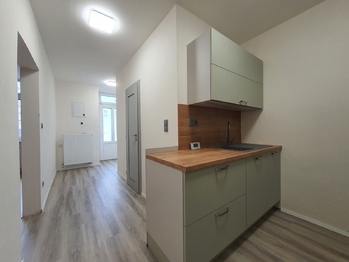 Pronájem bytu 2+kk v družstevním vlastnictví 48 m², Brno