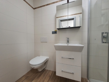 Pronájem bytu 2+kk v družstevním vlastnictví 48 m², Brno