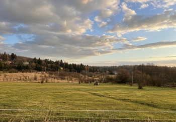 Prodej pozemku 1191 m², Olšany