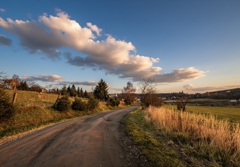 Prodej pozemku 1191 m², Olšany