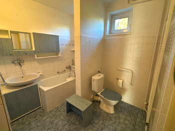 Prodej domu 350 m², Halže