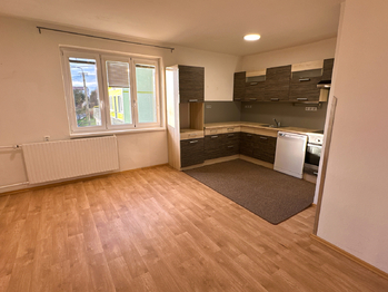 Prodej domu 350 m², Halže