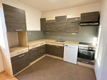 Prodej domu 350 m², Halže