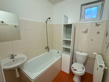 Prodej domu 350 m², Halže