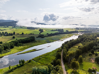 Prodej pozemku 9752 m², Nová Pec