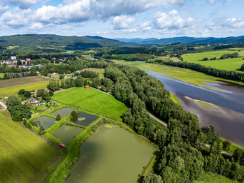 Prodej pozemku 9752 m², Nová Pec