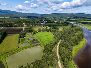 Prodej pozemku 9752 m², Nová Pec