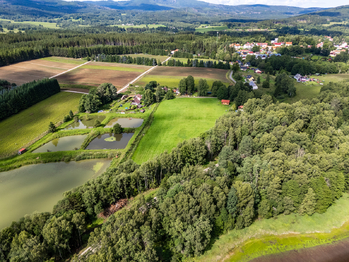 Prodej pozemku 9752 m², Nová Pec