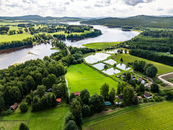 Prodej pozemku 9752 m², Nová Pec