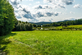 Prodej pozemku 9752 m², Nová Pec