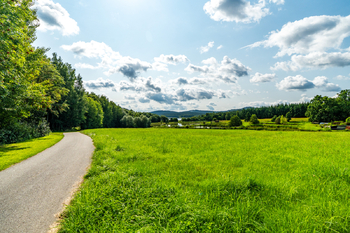 Prodej pozemku 9752 m², Nová Pec