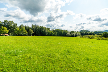 Prodej pozemku 9752 m², Nová Pec