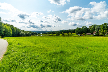 Prodej pozemku 9752 m², Nová Pec