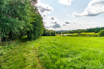 Prodej pozemku 9752 m², Nová Pec