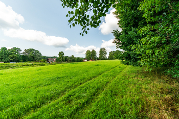 Prodej pozemku 9752 m², Nová Pec